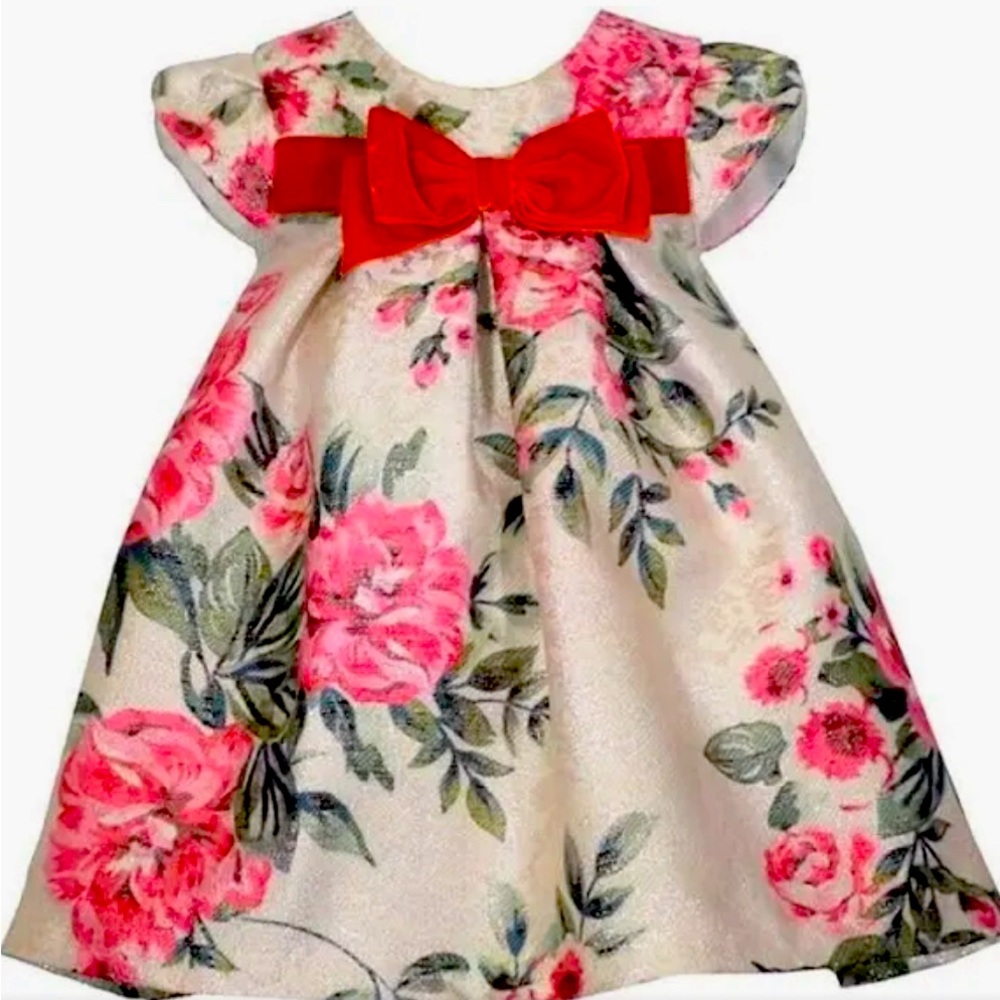 Bonnie Baby Girls (0-3M) Pink Floral Jacquard Trapeze Dress